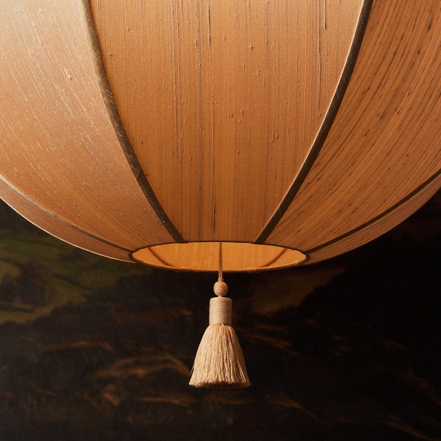 gallery image for LAN_P_LG_DETAIL_SITU