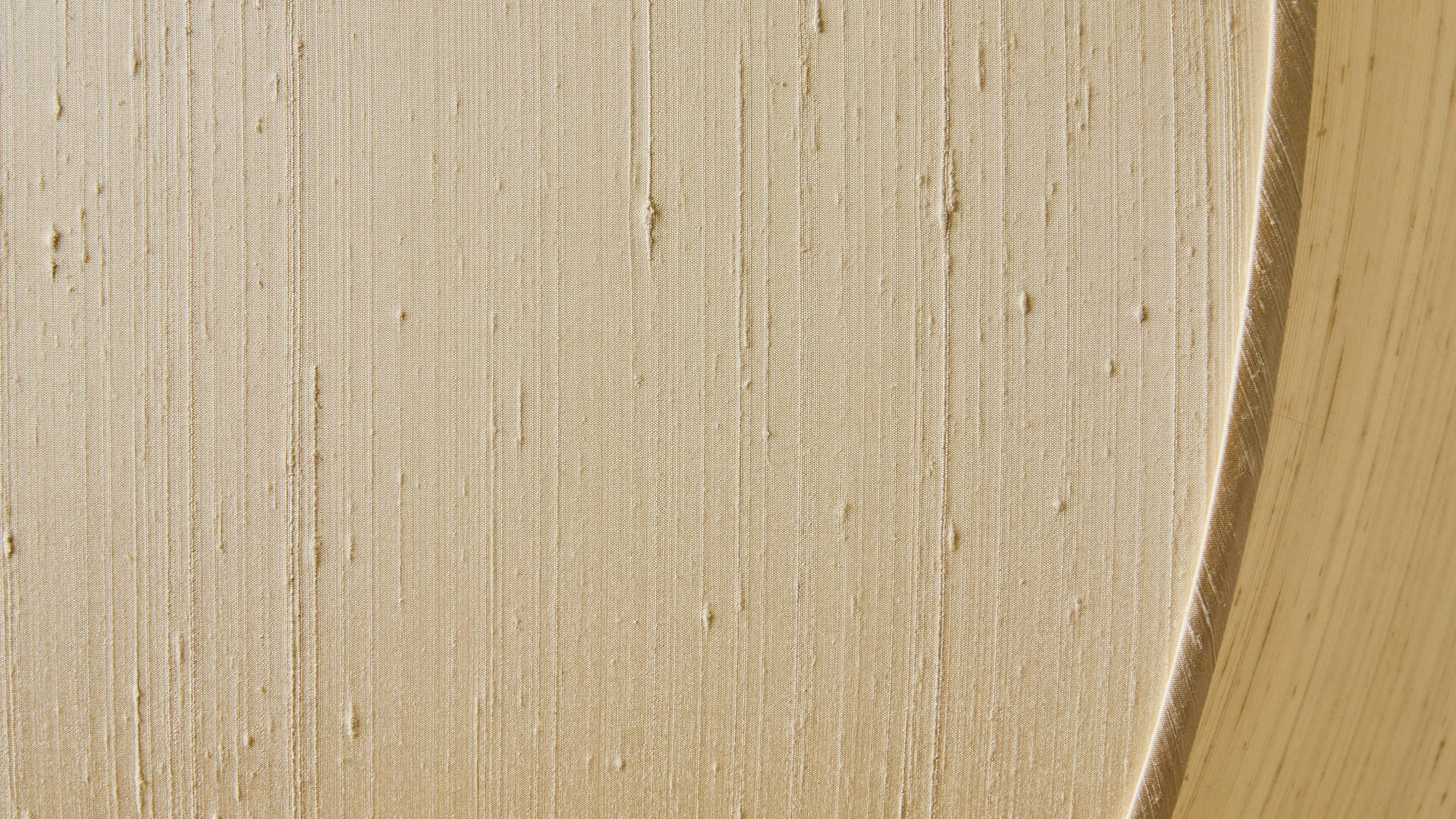 gallery image for LAN_P_LG_DETAIL_TEXTURE