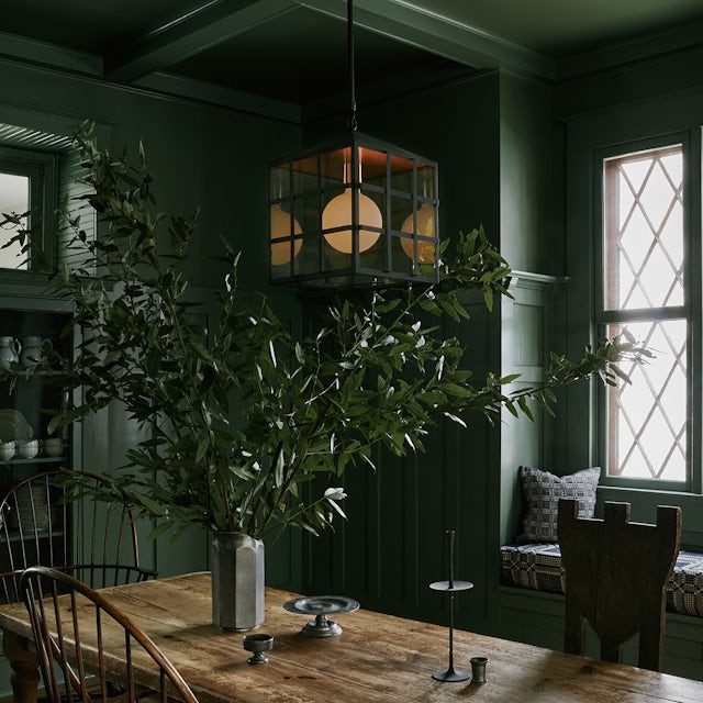gallery image for TRL_P_SITU_01