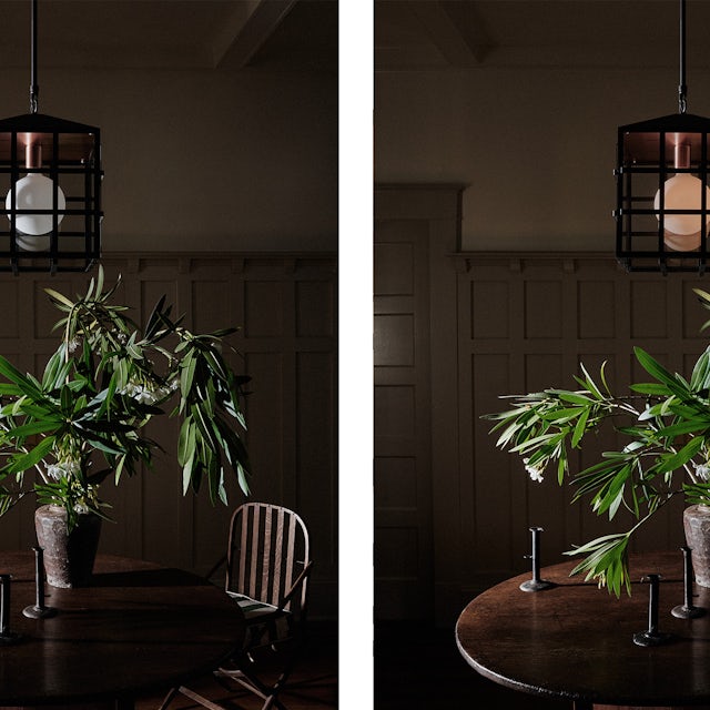 gallery image for TRL_P_SITU_02